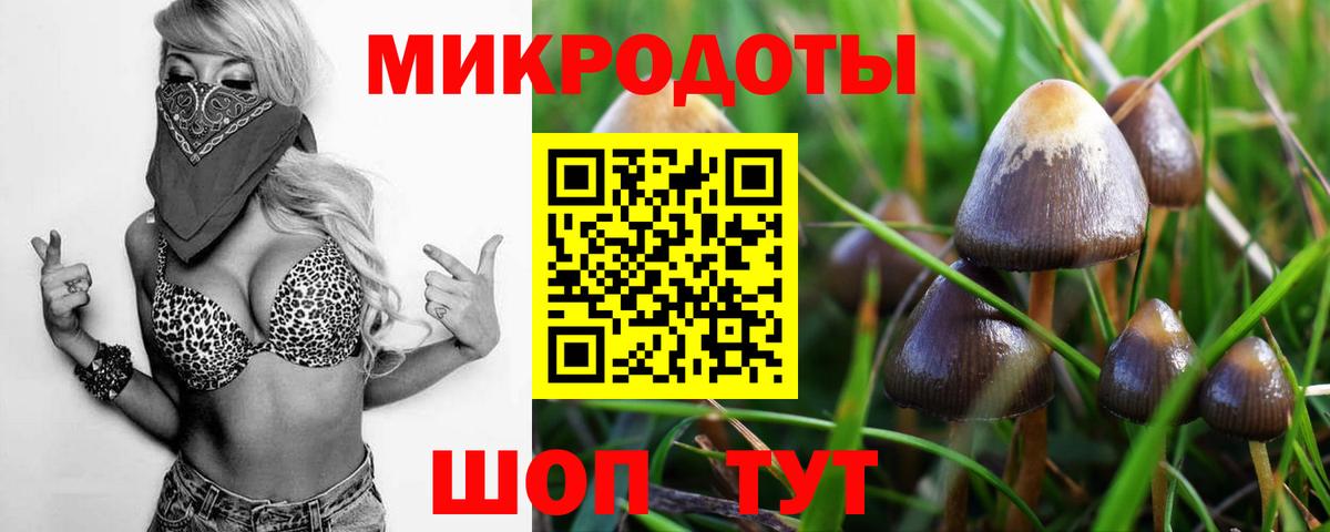 Галлюциногенные грибы Psilocybe Чебаркуль
