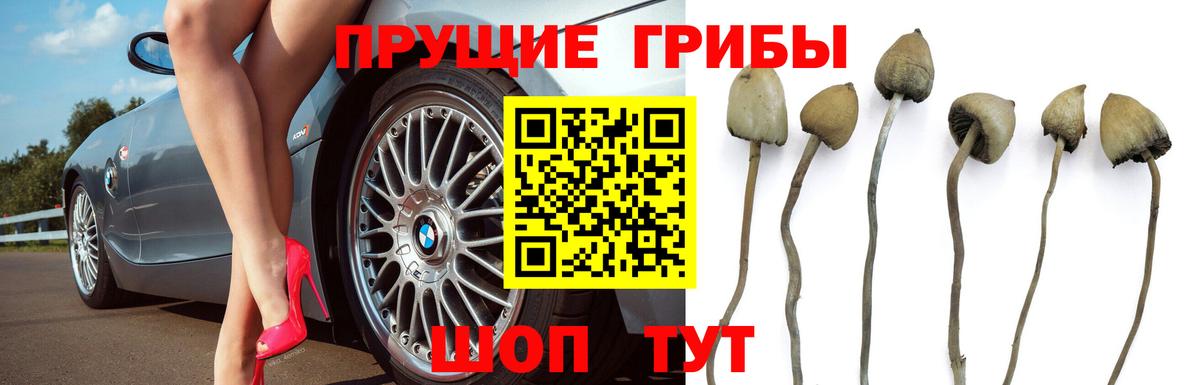 Псилоцибиновые грибы Psilocybine cubensis  Галлюциногенные грибы прущие грибы  Вход с VPN  Чебаркуль 